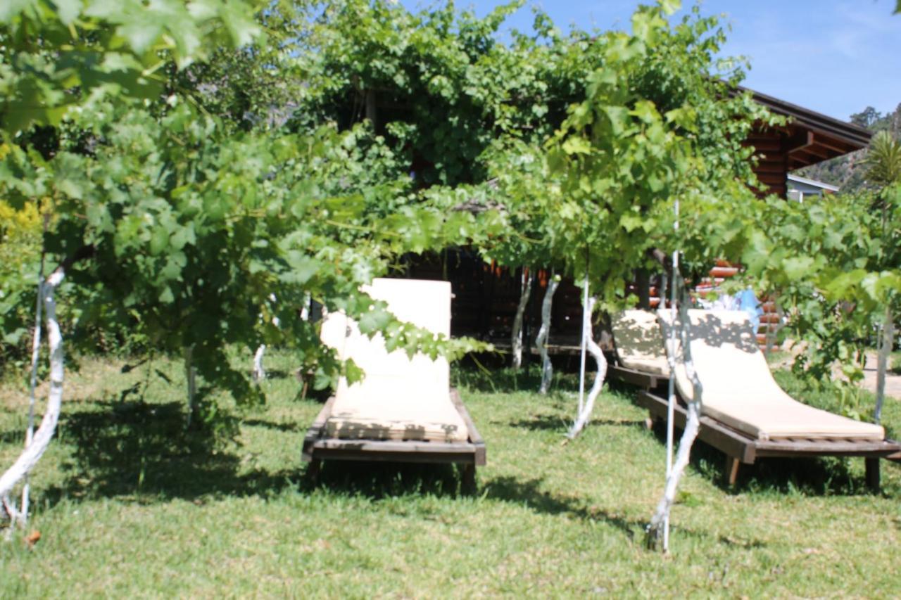 Sakin Vadi Winehouse Bed and Breakfast Orhaniye  Buitenkant foto