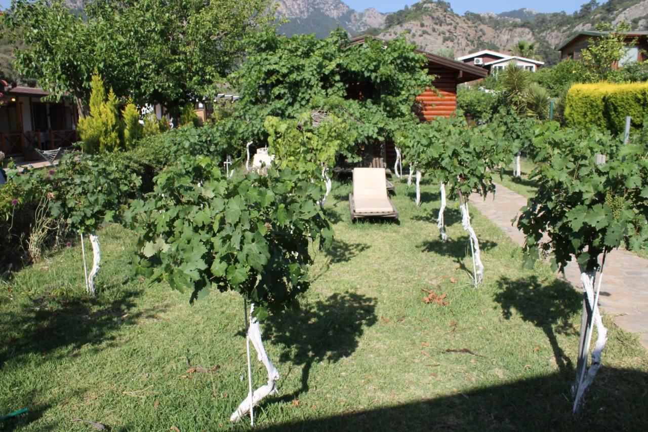 Sakin Vadi Winehouse Bed and Breakfast Orhaniye  Buitenkant foto