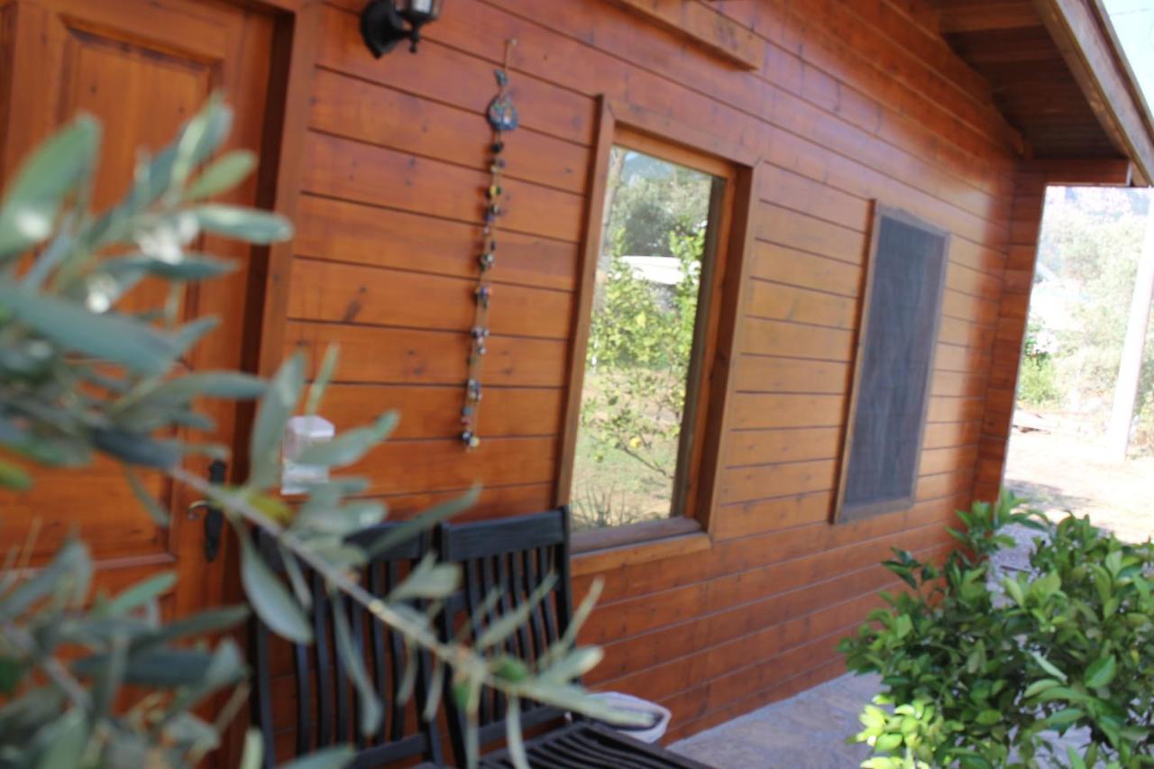 Sakin Vadi Winehouse Bed and Breakfast Orhaniye  Buitenkant foto
