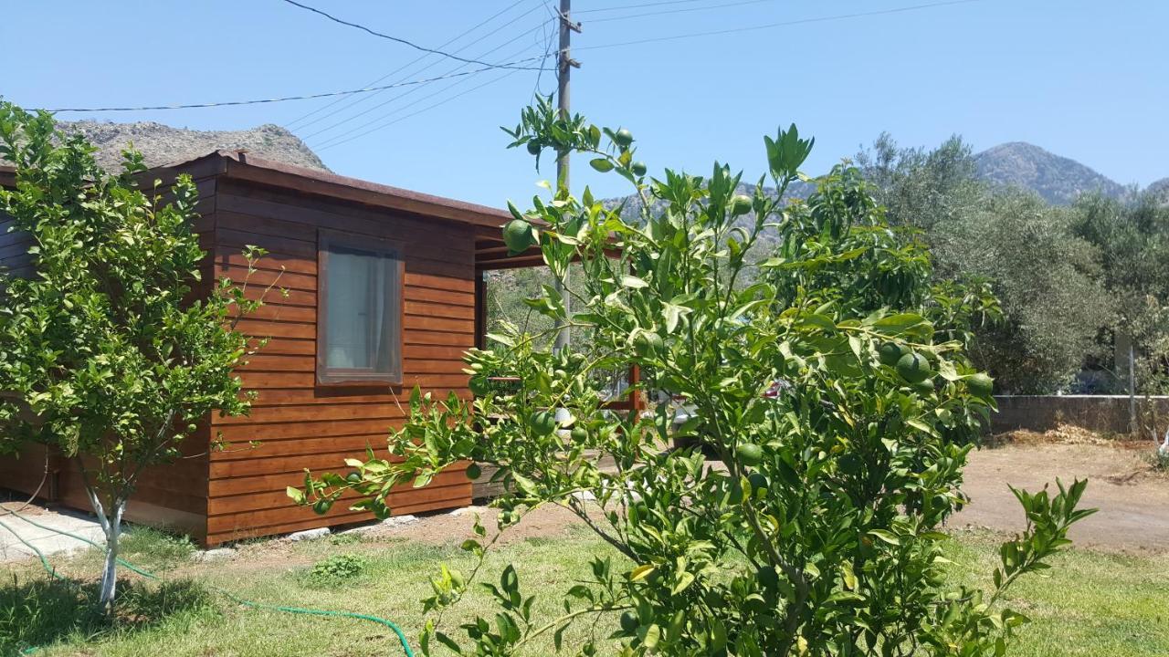 Sakin Vadi Winehouse Bed and Breakfast Orhaniye  Buitenkant foto