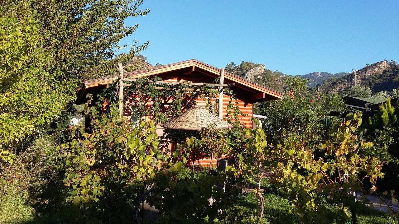 Sakin Vadi Winehouse Bed and Breakfast Orhaniye  Buitenkant foto